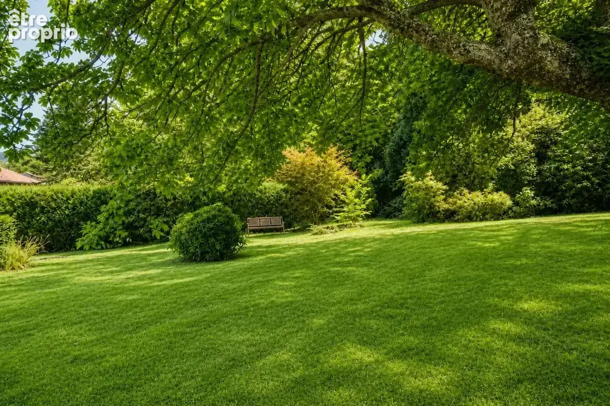 Ensemble immobilier - 3 maisons mitoyennes - Labastide-Rouairoux - photo 19