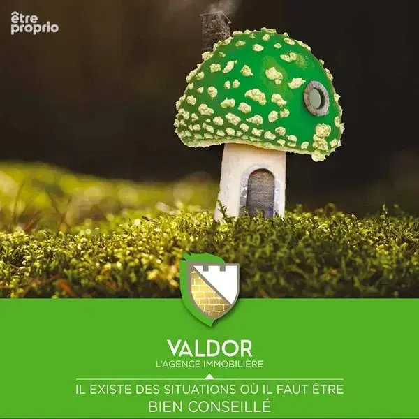 MOGNENEINS maison de village à rénover - photo 12