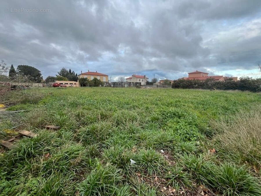 Terrain à RIVESALTES