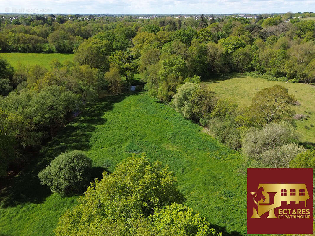 Maison à NORT-SUR-ERDRE