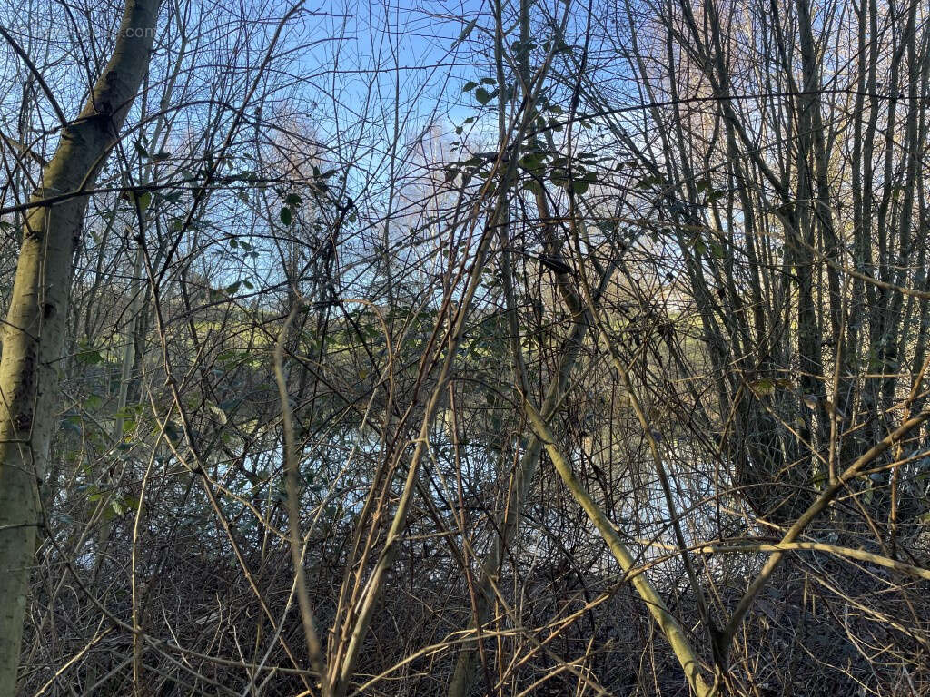 Concèze, proche du bourg, étang 2000 m2 aux normes - photo 8