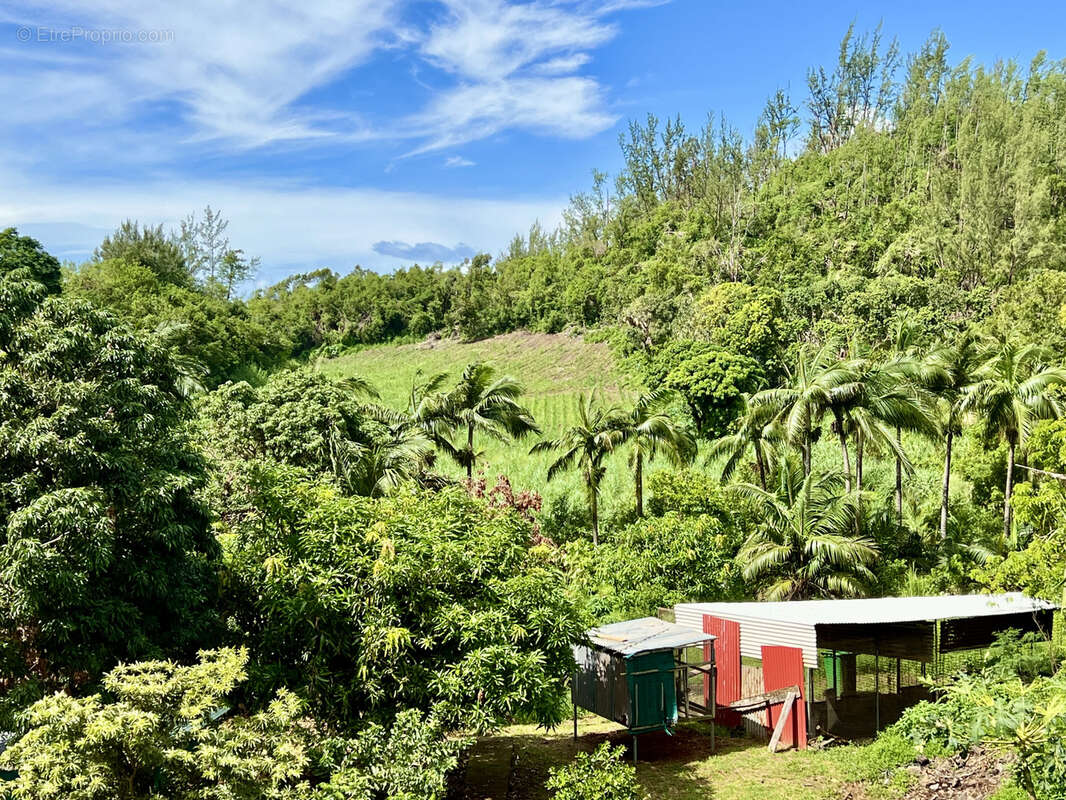 Maison à SAINT-JOSEPH