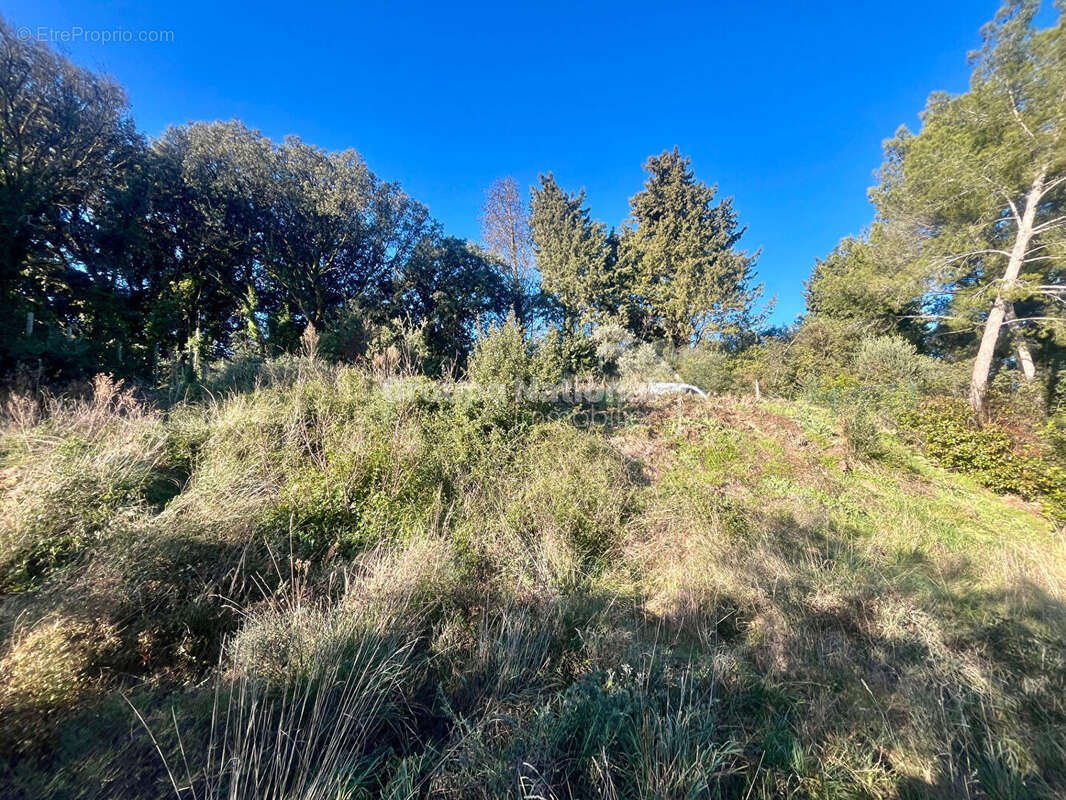 Terrain à JONQUERETTES