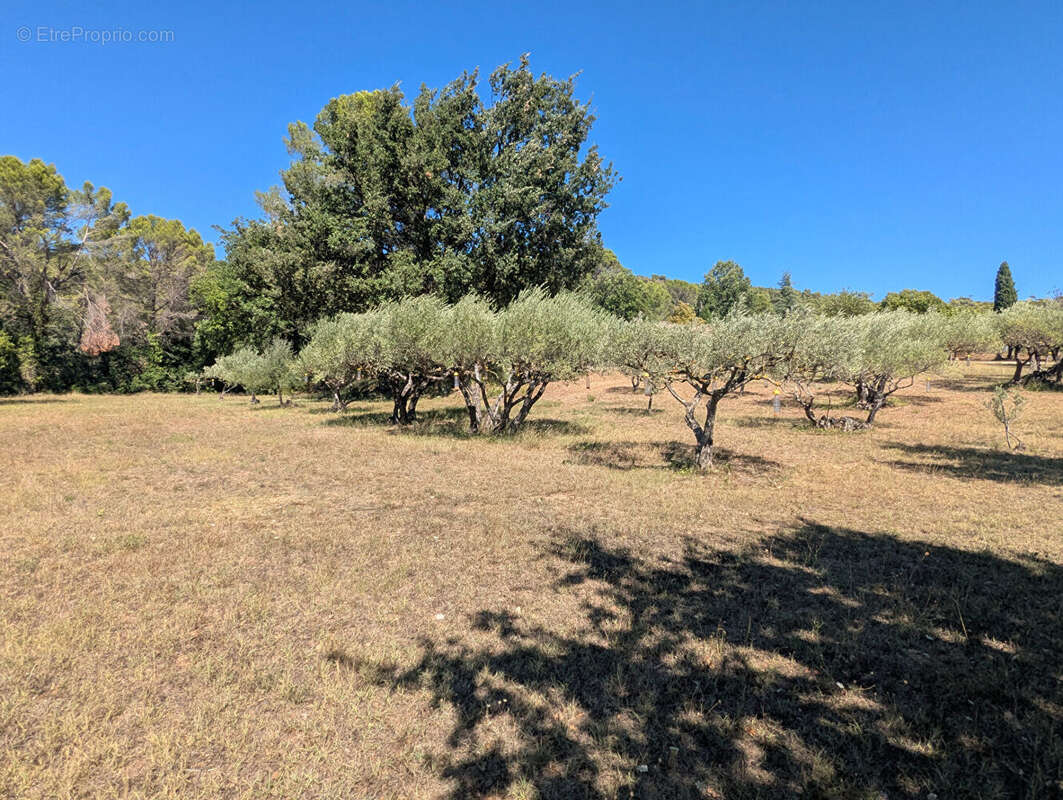 Maison à VILLECROZE