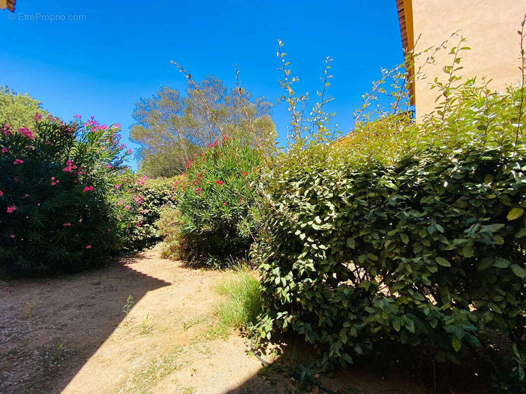 Appartement à BELGODERE