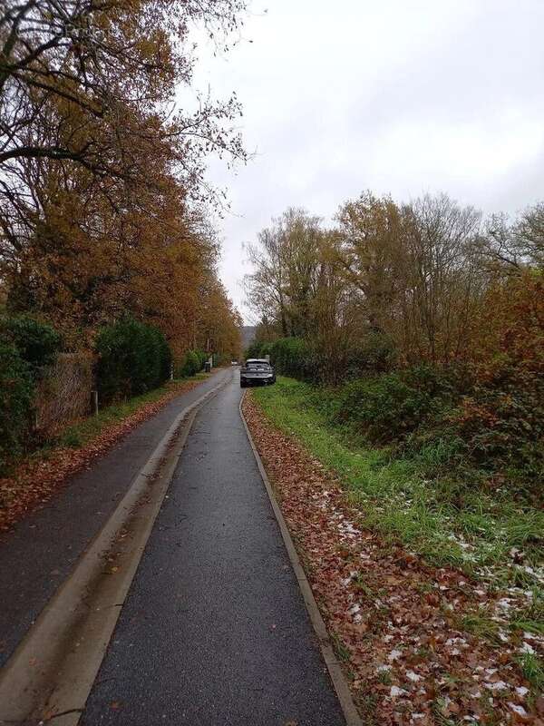Terrain à SAMOIS-SUR-SEINE
