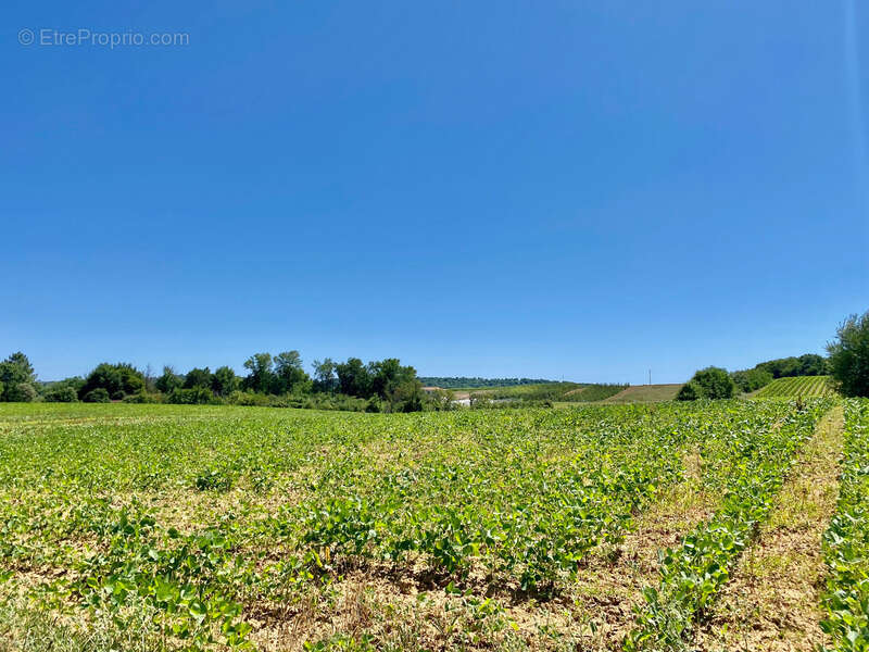 Maison à ESCOUSSANS