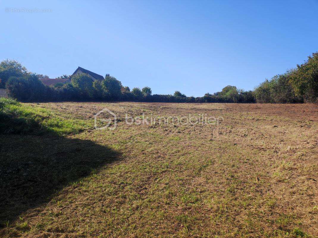Terrain à CHAMPLOST