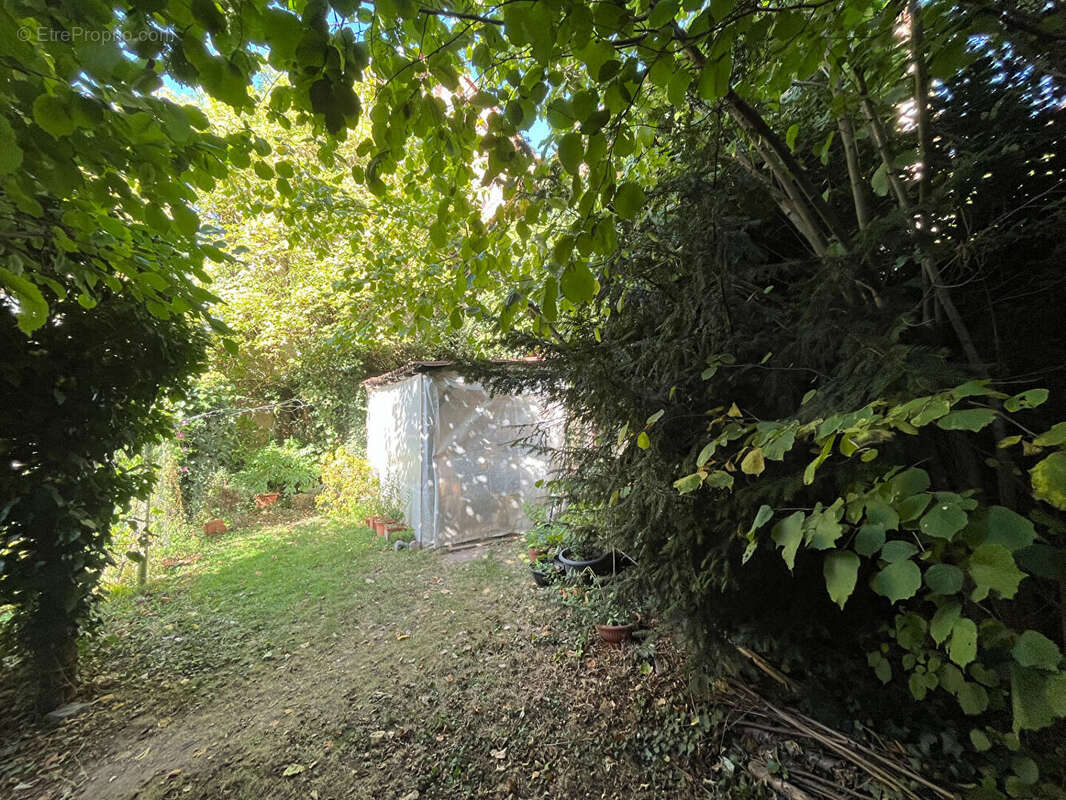 Appartement à DAMBACH-LA-VILLE