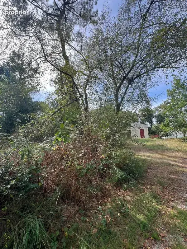 À vendre – argol – finistère – presqu’île de crozon-exceptionnel terrain de loisirs de 40 000 m² - photo 44
