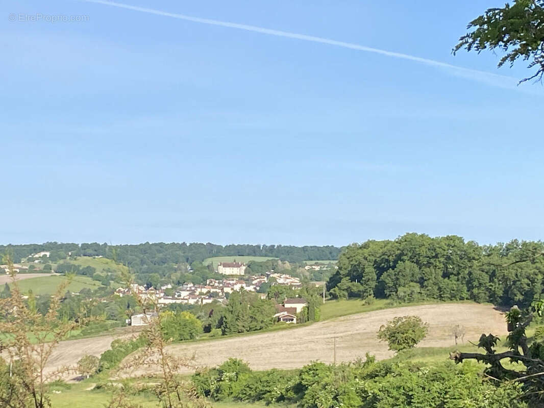 vue sur chateau - Maison à MONTMOREAU-SAINT-CYBARD