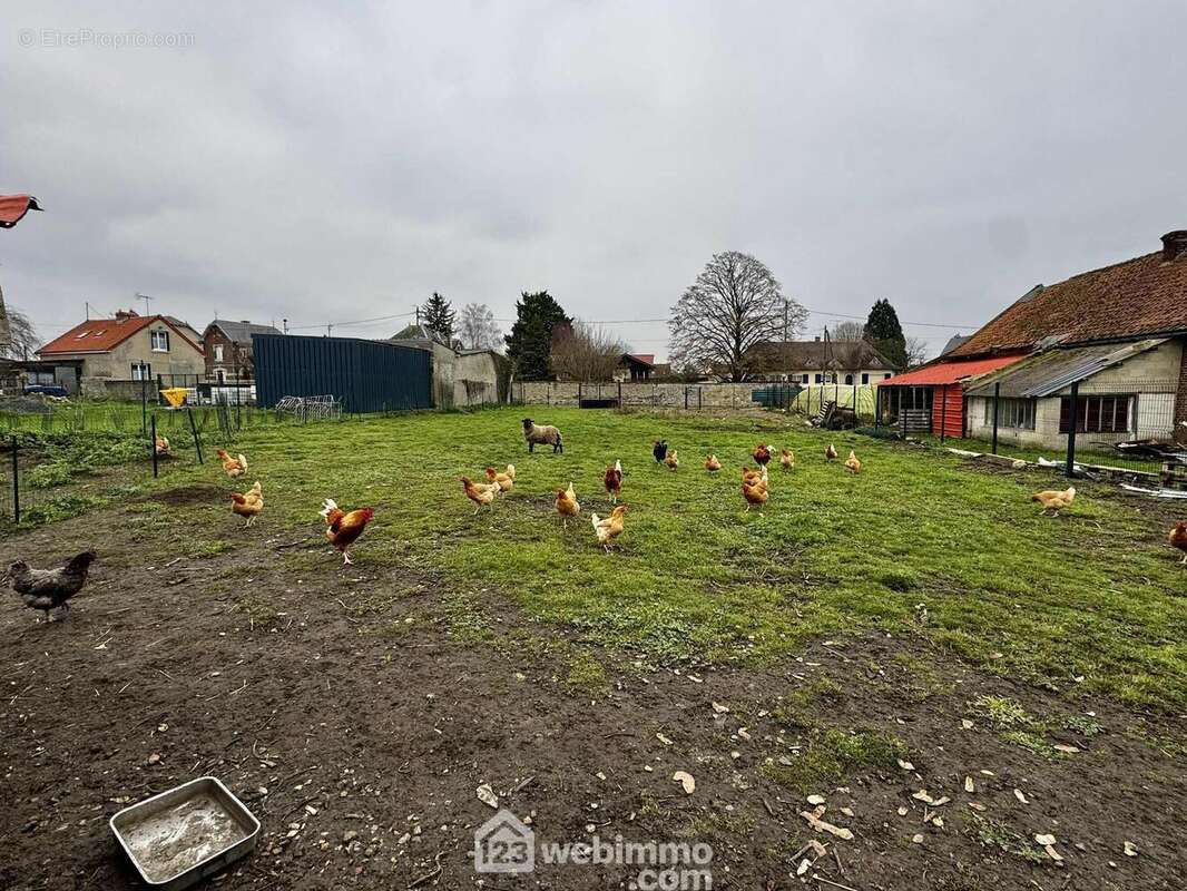 Un terrain sain et entretenu, illustrant la qualité du sol et du cadre environnant - Terrain à VERSIGNY