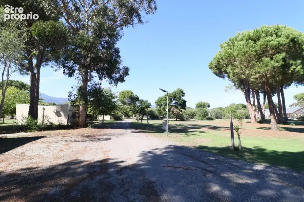Corse, Bungalow au bord de la mer, CASTELLARE DI CASINCA (2b) - photo 13