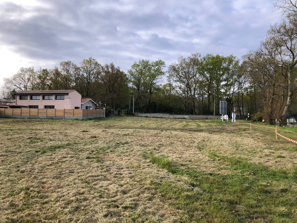 Terrain à LEOGNAN