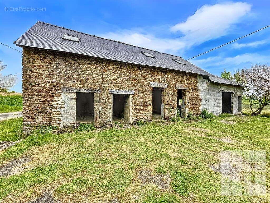 Havre de paix à Ernée – ferme fruitière naturelle et chambres d’hôtes - photo 15