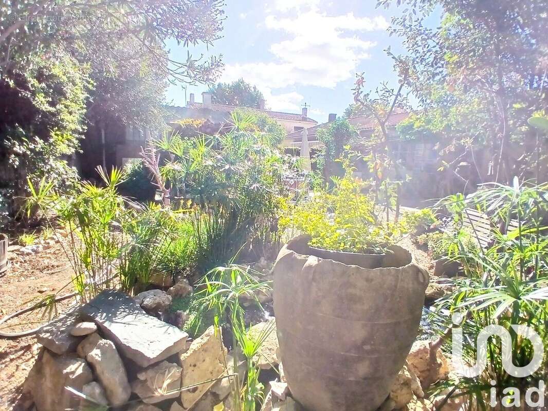 Photo 7 - Maison à OLONZAC