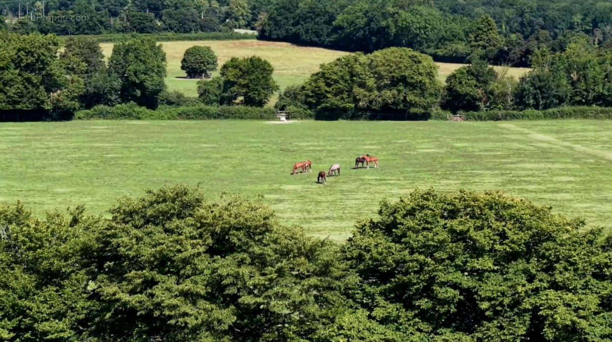 Haras normand sur 73 ha - photo 5
