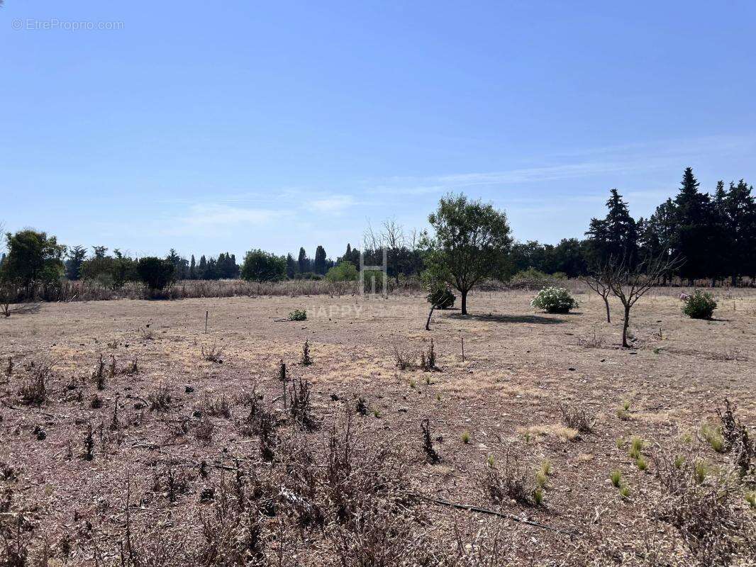 Jolie villa de plain-pied - photo 4