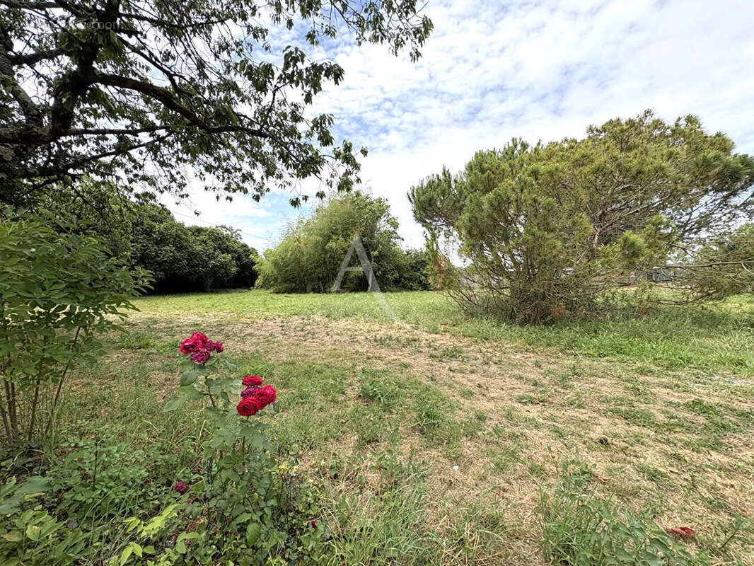 Maison 5 pièces - 3 chambres - LES VELLUIRE SUR VENDEE - photo 2