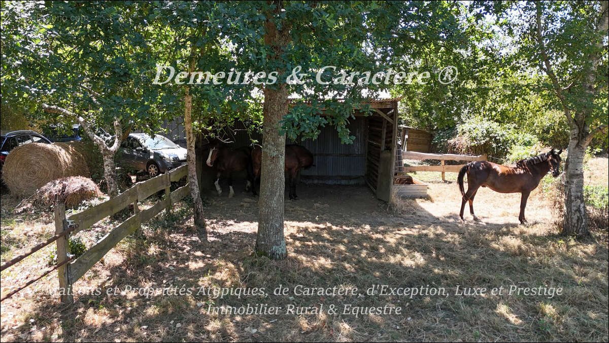 Maison avec piscine et dépendances - photo 41