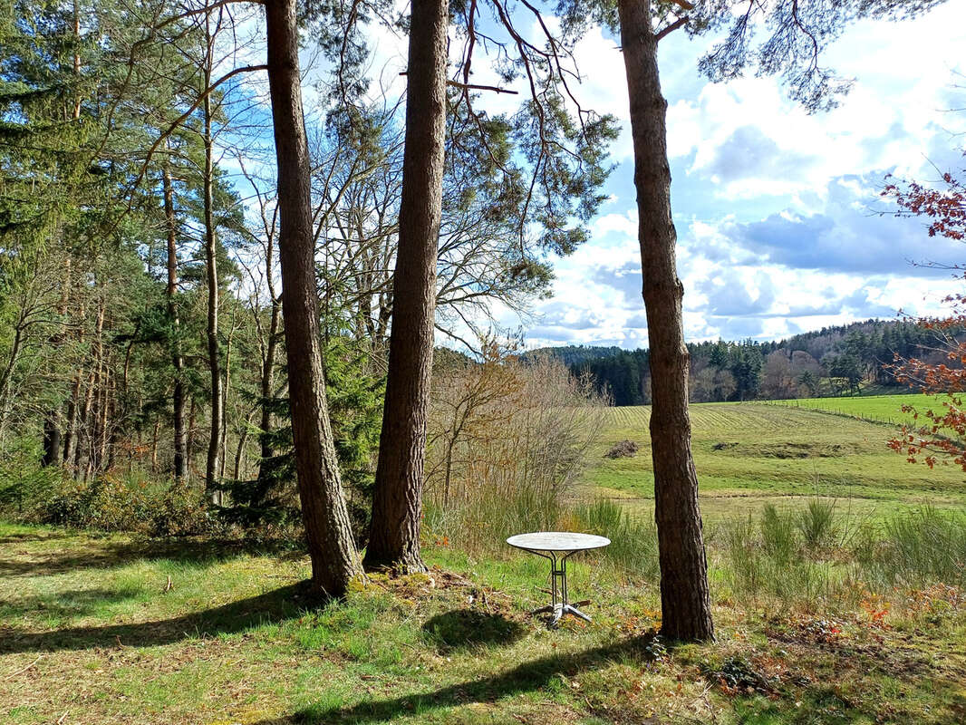 Terrain à SAINT-GEORGES-LAGRICOL