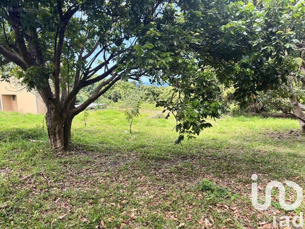 Photo 7 - Terrain à SAINT-PIERRE