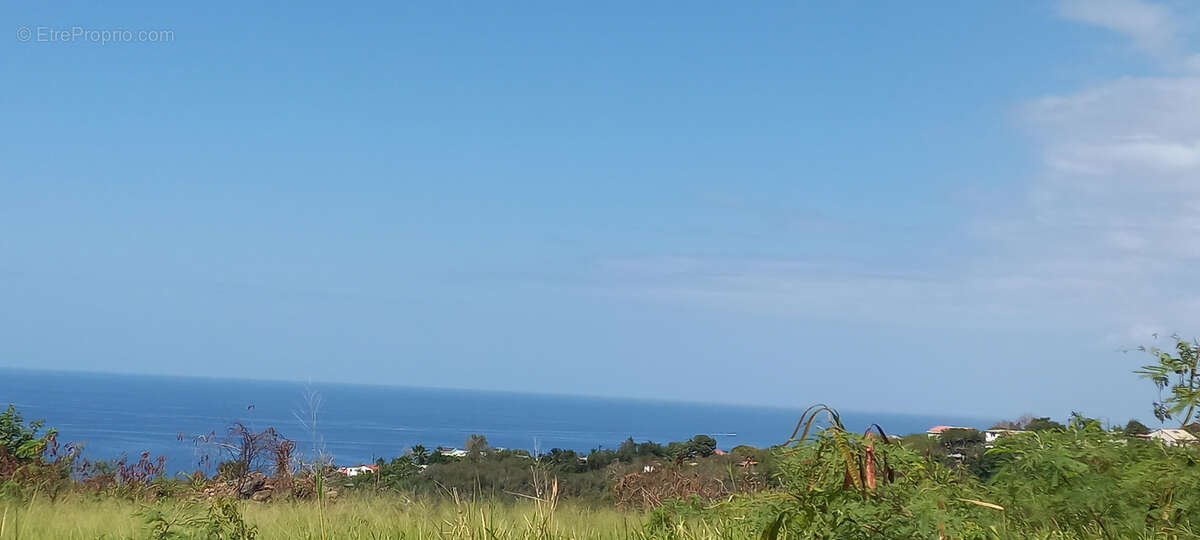 Terrain à VIEUX-HABITANTS