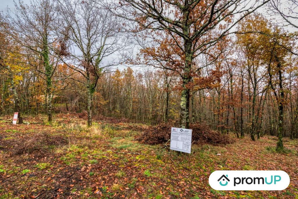 Terrain à VILLEMUR-SUR-TARN