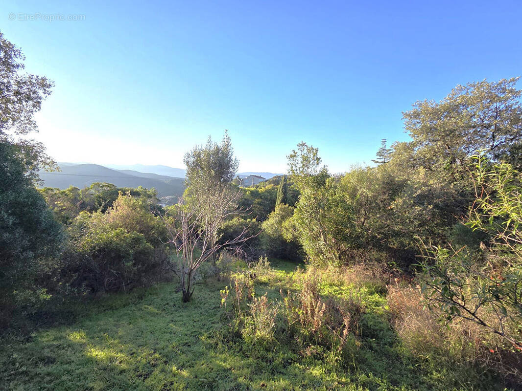 Terrain à PIETROSELLA