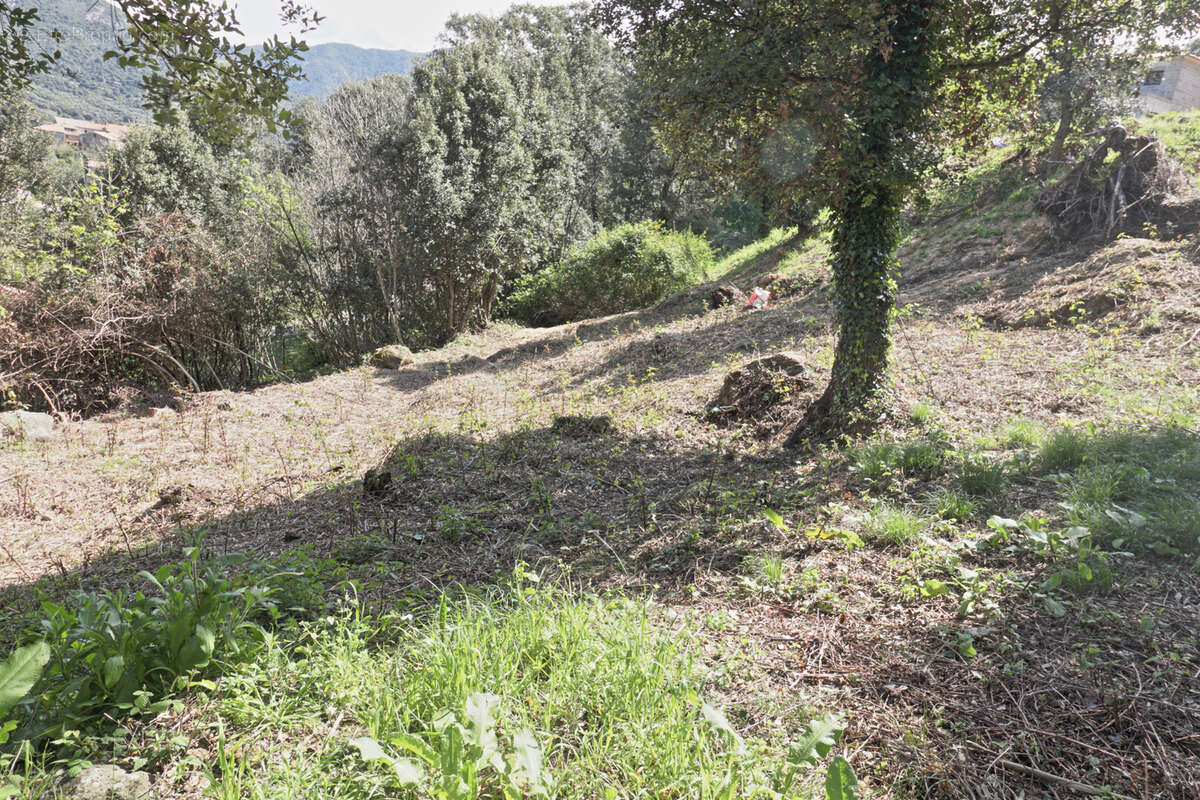 Terrain à CASAGLIONE
