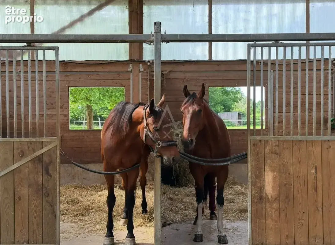 Haras d'Entraînement de Courses sur 28 Hectares   Cadre Exceptionnel - photo 4