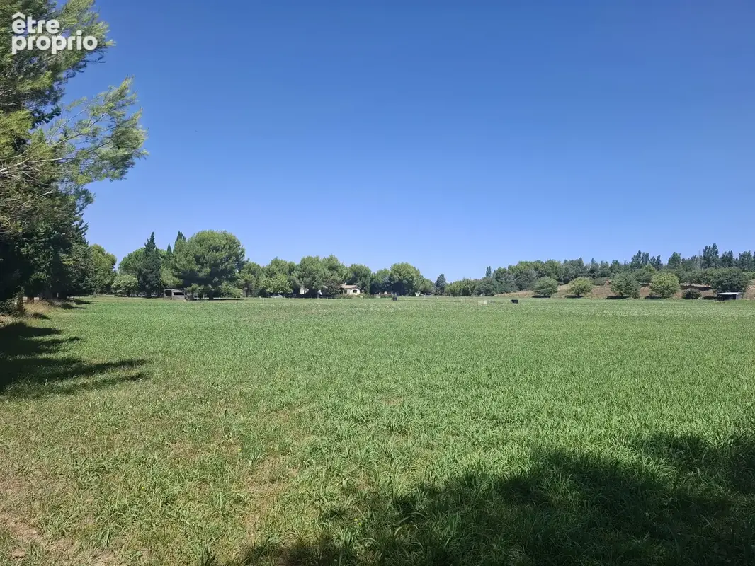 Domaine entre Alpilles et Arles - photo 7