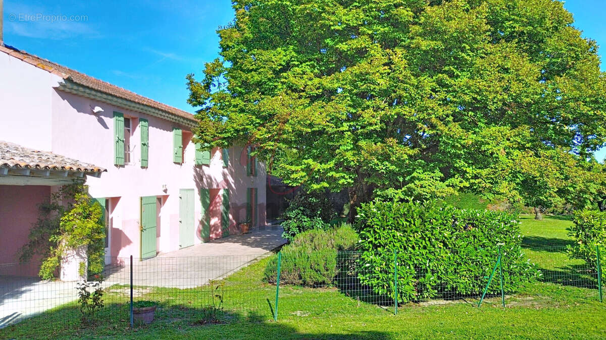 Noves : Mas avec oliviers, piscine et annexes - photo 3