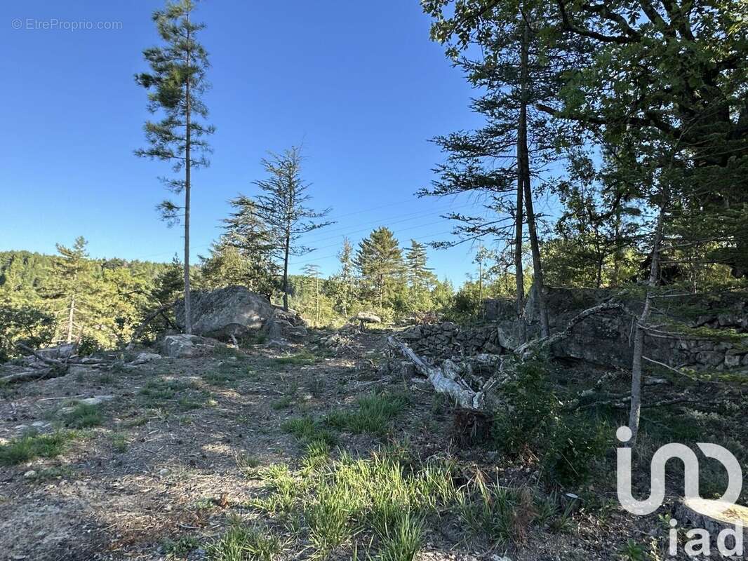 Photo 5 - Terrain à UCEL