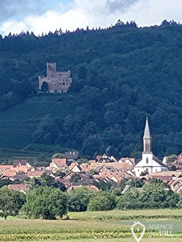 Maison à SELESTAT