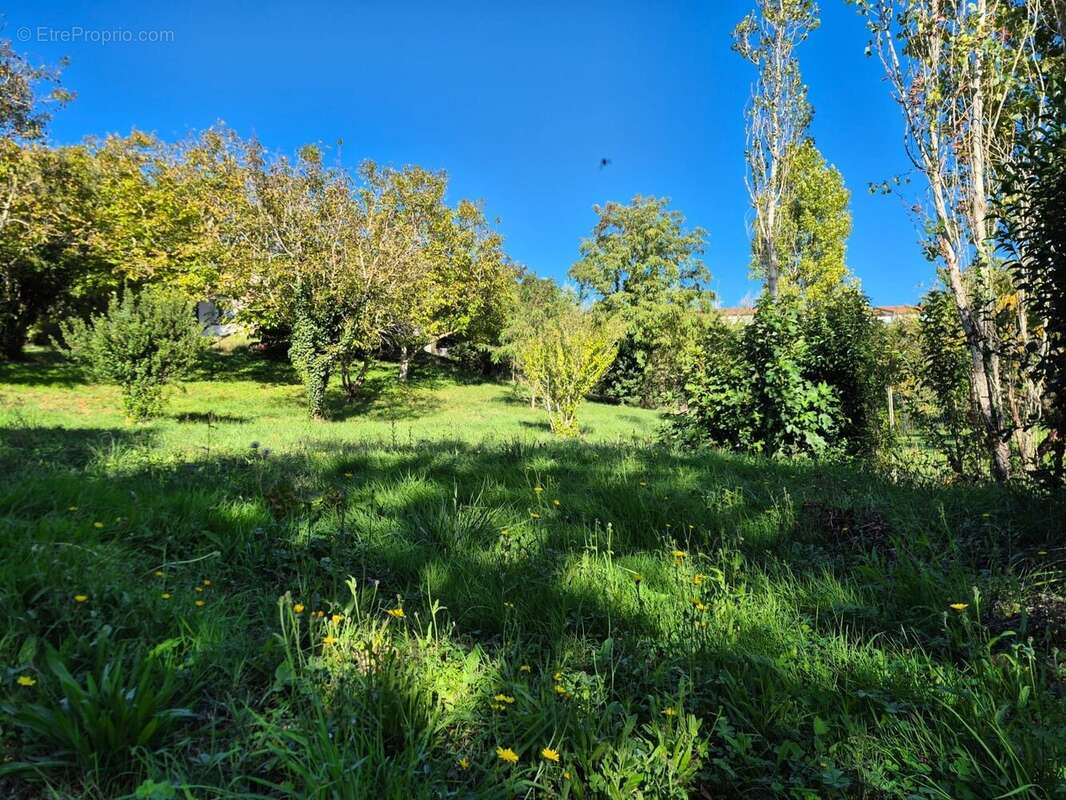 Terrain à CASTELNAU-D'ESTRETEFONDS
