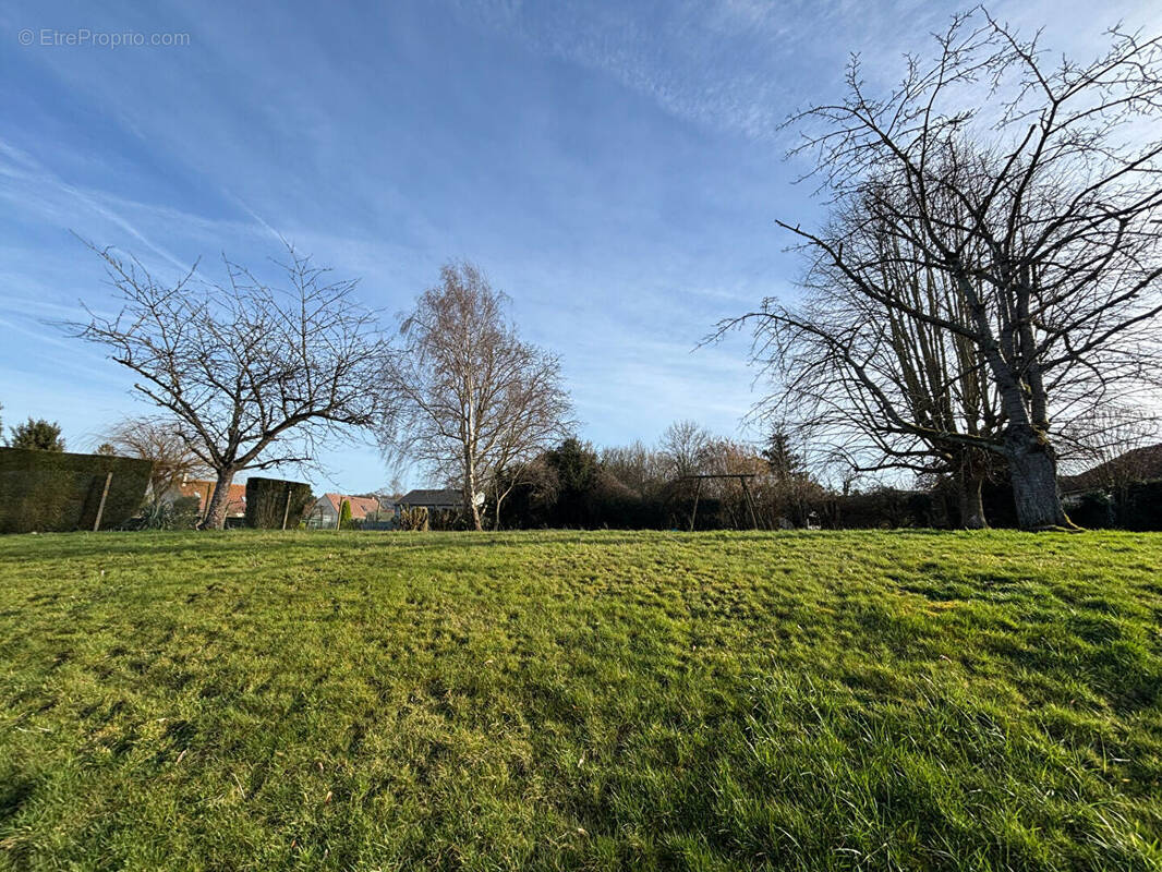 Terrain à NOAILLES
