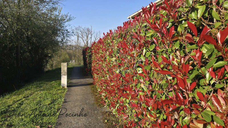 Appartement à SAINT-LYS