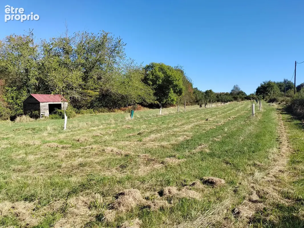A 8mn de Roybon, 2 hectares au calme. - photo 7
