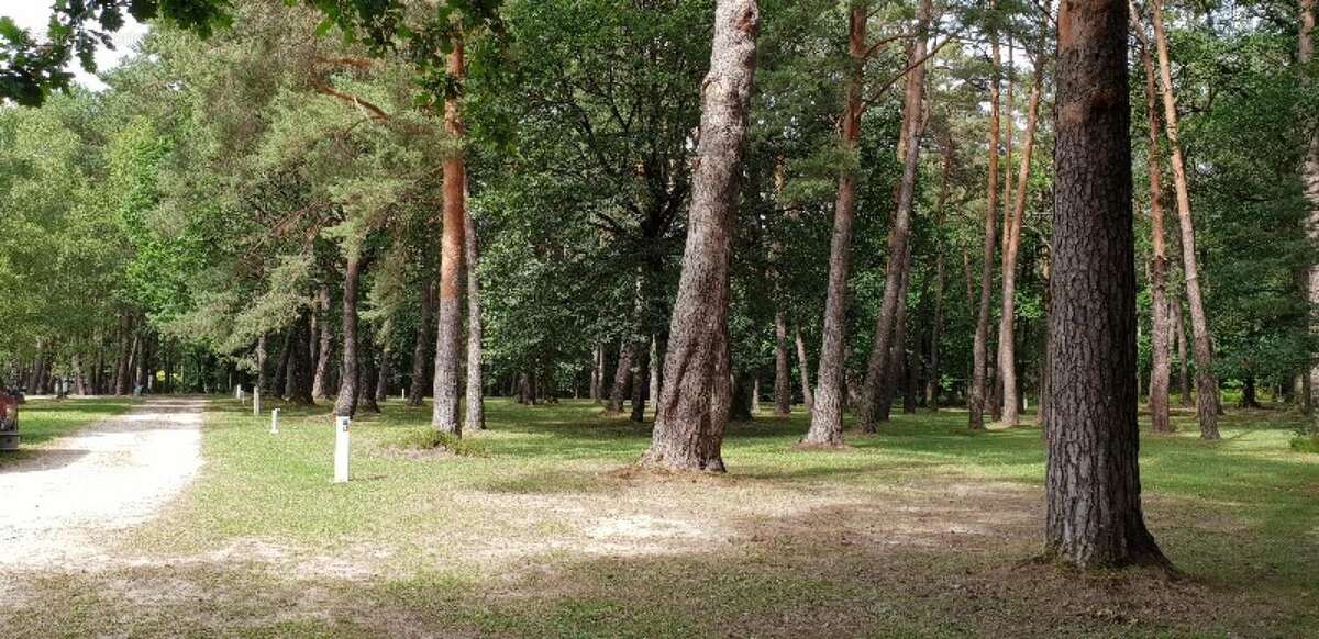 Photo 5 - Commerce à CHATEAUROUX