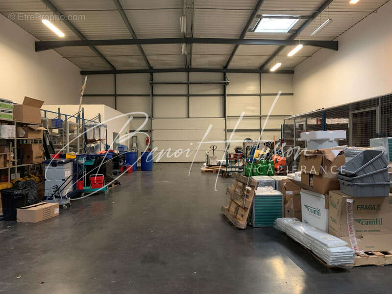 Commerce à AUTERIVE