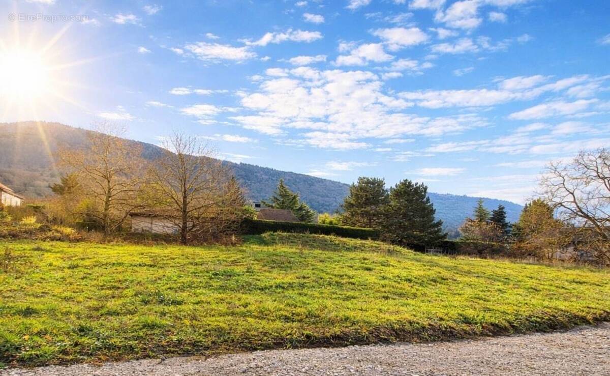 Terrain à SAINT-CERGUES
