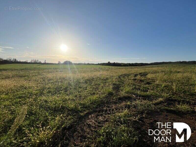 Terrain à LABOURGADE