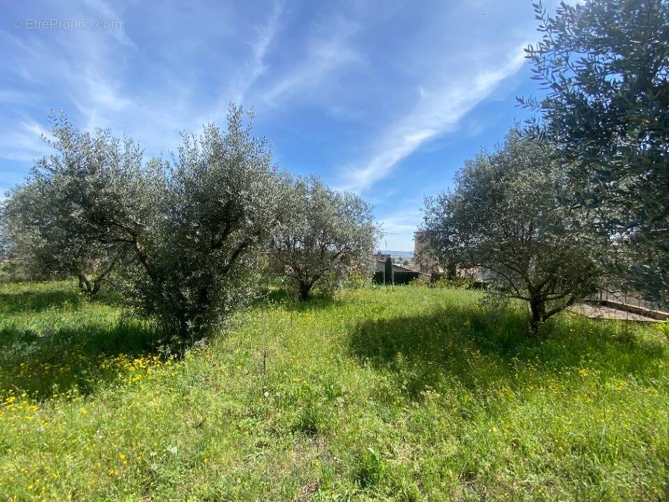 Photo Terrain à Sainte-Tulle au prix de 145 000€