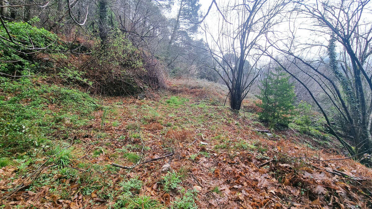 Terrain à vendre  LE COLLET DE DEZE (48) - photo 7