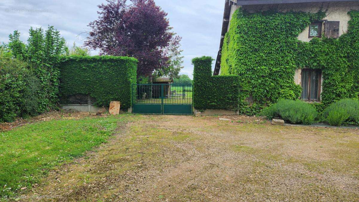 Commerce à AMBERIEUX-EN-DOMBES