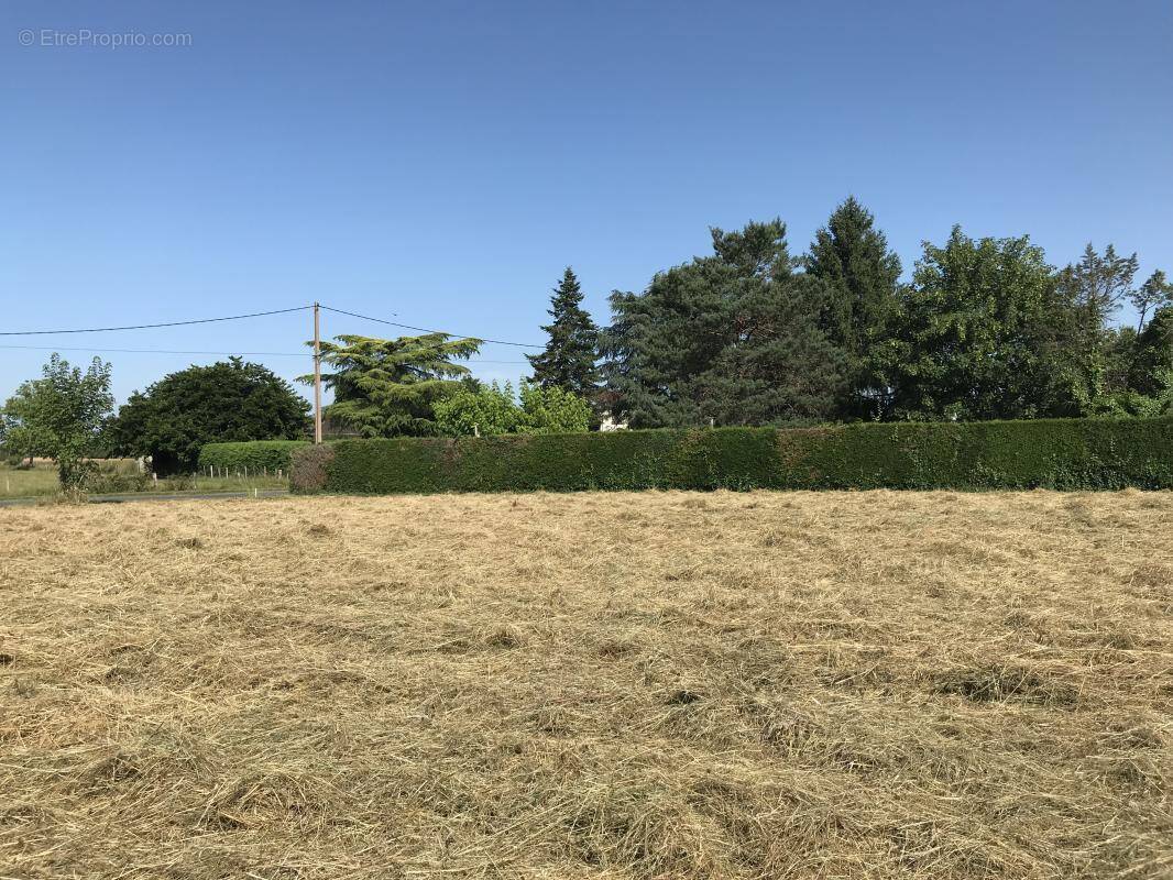 Terrain à COURS-DE-PILE