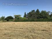 Terrain à COURS-DE-PILE