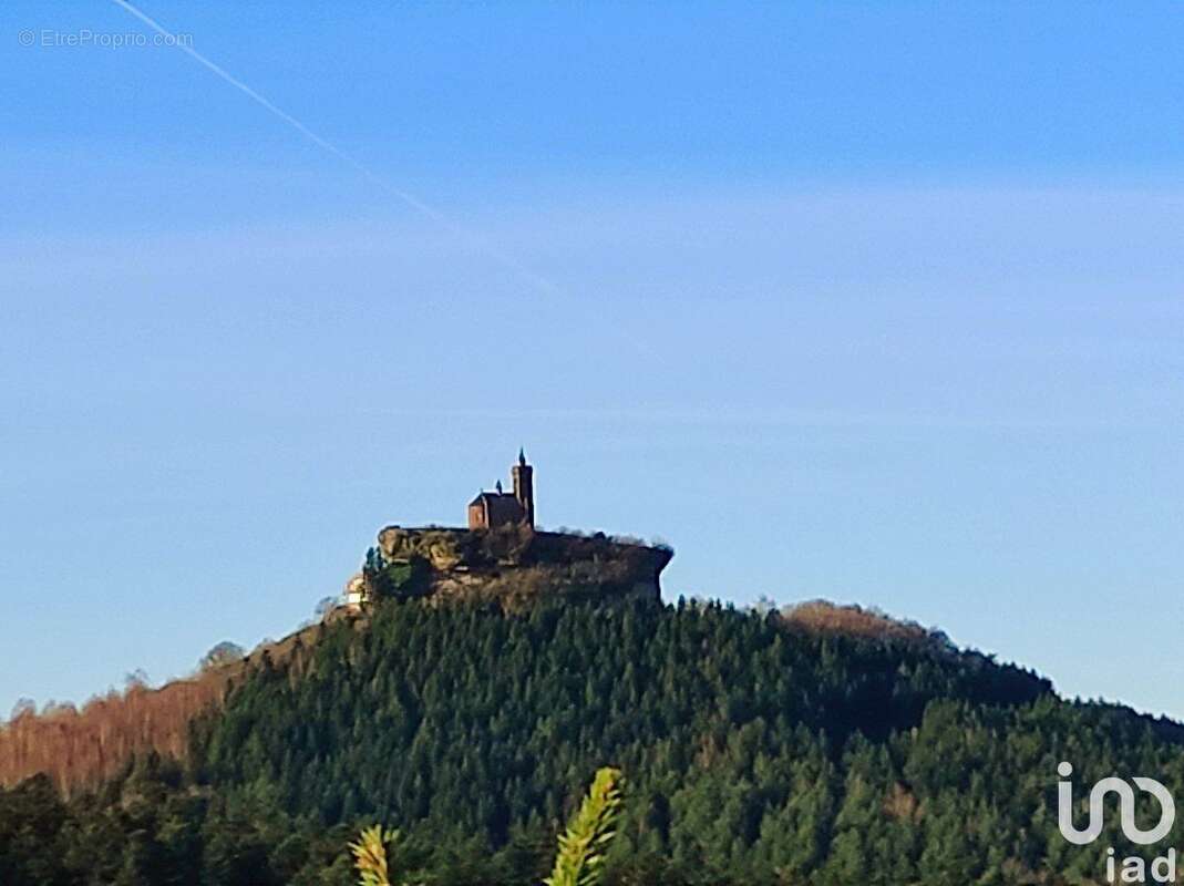 Photo 2 - Commerce à DABO