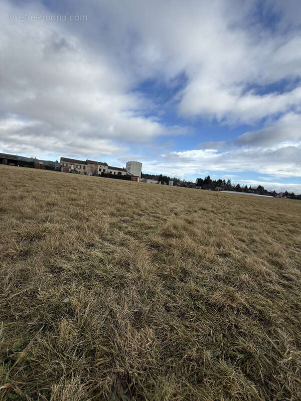 Terrain à SAINT-PAL-DE-MONS